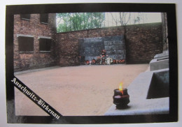 POLOGNE - AUSWICH - Camp - Mur Des Exécutions - Pologne