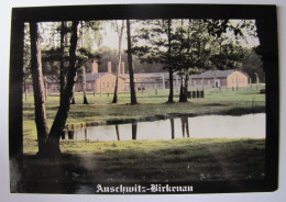 POLOGNE - AUSWICH - Vue Du Camp De Birkenau - Pologne