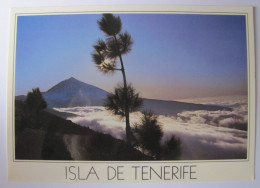 ESPAGNE - ISLAS CANARIAS - TENERIFE - Mirador De Orduno - Tenerife