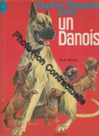 Quatre Bassets Pour Un Danois - Autres & Non Classés