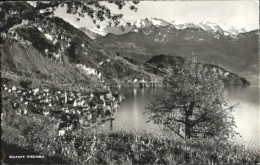 10579236 Vitznau Vitznau Nidwalderalpen Ungelaufen Ca. 1955 Vitznau - Altri & Non Classificati