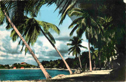 Martinique - Anse Mitan - Les Cocotiers -sur La Plage - Carte Dentelée - CPSM Format CPA - Voir Scans Recto-Verso - Altri & Non Classificati