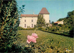 86 - Usson Du Poitou - La Grand'Vaux - CPM - Carte Neuve - Voir Scans Recto-Verso - Autres & Non Classés