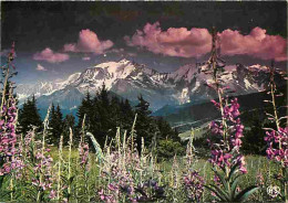 74 - Chamonix - Mont-Blanc - L'été Au Pays Du Mont-Blanc - CPM - Voir Scans Recto-Verso - Chamonix-Mont-Blanc