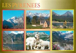 65 - Hautes Pyrénées - Multivues - CPM - Voir Scans Recto-Verso - Other & Unclassified