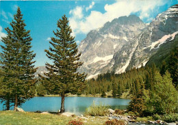 38 - Isère - L'Oisans - Le Lac Du Poursollet Et Le Taillefer (2861 M.) - Carte Neuve - CPM - Voir Scans Recto-Verso - Autres & Non Classés
