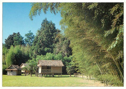 30 - Anduze - Générargues - Bambouseraie De Prafrance - Le Village De Bambous - CPM - Voir Scans Recto-Verso - Anduze