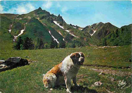 Animaux - Chiens - Mont Dore - Saint Bernard - CPM - Voir Scans Recto-Verso - Dogs