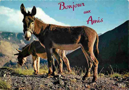 Animaux - Anes - Carte Humoristique - Carte Neuve - CPM - Voir Scans Recto-Verso - Anes