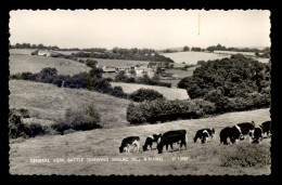 ROYAUME-UNI - ANGLETERRE - BATTLE - GENERAL VIEW - Otros & Sin Clasificación