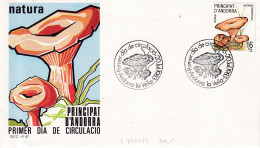 FDC  1983 ANDORRA ESP. - Mushrooms