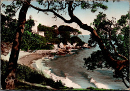 N°42647 Z -cpsm île De Noirmoutier -la Plage De L'Anse Rouge- - Ile De Noirmoutier