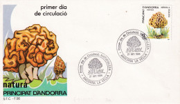 FDC  1984  ANDORRA ESP. - Mushrooms