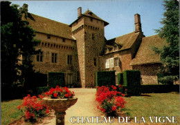 N°42650 Z -cpsm Château De La Vigne - Autres & Non Classés
