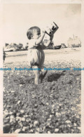 R115230 Old Postcard. Baby - Monde
