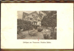 10578401 Daerligen Daerligen Pension X 1920 Daerligen - Autres & Non Classés