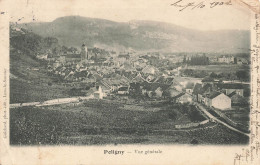 POLIGNY : VUE GENERALE - Poligny