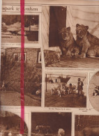 Arnhem - Het Dierenpark , Zoo - Orig. Knipsel Coupure Tijdschrift Magazine - 1926 - Unclassified