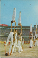 PYRAMIDS IN MASS CALLISTHENICS - China