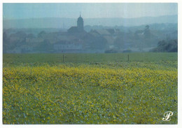 CPSM / CPM 10.5 X 15 Prestige FRANCHE-COMTE   Village Clocher Dans La Brume - Franche-Comté