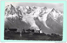 Le Mont Blanc, Vu De Plan-Praz - Otros & Sin Clasificación