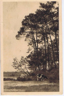 LANDES - Le Fond Du Lac à HOSSEGOR - Editions Yvon - N° 22 - Hossegor