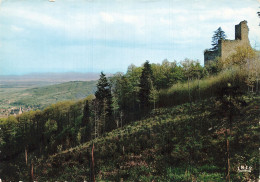 67 ANDLAU RUINES DU CHÂTEAU DE SPESBOURG - Otros & Sin Clasificación