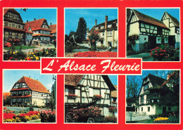67 ALSACE  - Other & Unclassified