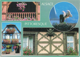 67 ALSACE  - Other & Unclassified