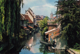 68 COLMAR LA PETITE VENISE - Colmar