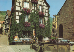 68 KAYSERSBERG FONTAINE FLEURIE - Kaysersberg