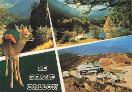 68 LE GRAND BALLON  - Altri & Non Classificati