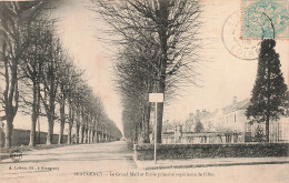 45 BEAUGENCY  LE GRAND MAIL  - Beaugency