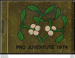 1974 Svizzera Pro Juventute Booklet Gold MNH SBHV N. 23 - Autres & Non Classés