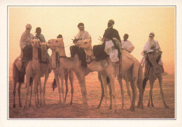 NIGER - La Cure Salée - Teguidda N'tessoumt - Des Touareg Sur Leurs Dromadaires - Animé - Colorisé - Carte Postale - Niger