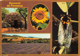 13 PROVENCE - Other & Unclassified