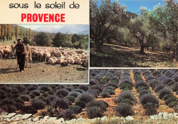 13 PROVENCE SOUS LE SOLEIL - Autres & Non Classés