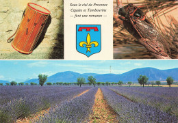 13 PROVENCE CIGALES ET TAMBOURINS - Autres & Non Classés