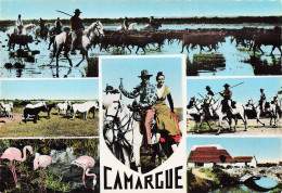 13 CAMARGUE - Autres & Non Classés