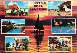 13 CAMARGUE - Autres & Non Classés