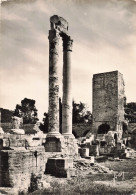 13 ARLES COLONNES DU THEATRE ANTIQUE - Arles