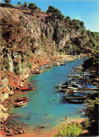 13 PROVENCE CALANQUE PITTORESQUE - Autres & Non Classés