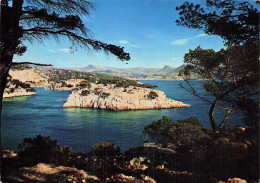 13 CASSIS SUR MER CALANQUE DE PORT MIOU - Cassis