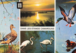 13 CAMARGUE LES ETANGS - Other & Unclassified