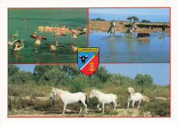 13 CAMARGUE - Other & Unclassified