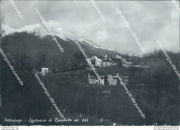 Bu462 Cartolina Pettinego Santuario Di Banchette Provincia Di Biella Piemonte - Biella