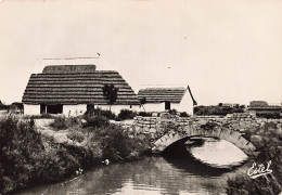 13 CAMARGUE CABANE DE GARDIAN - Autres & Non Classés