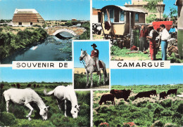13 CAMARGUE - Other & Unclassified