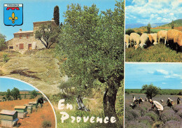 13 PROVENCE - Other & Unclassified