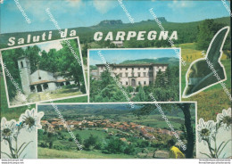 Bu479 Cartolina Saluti Da Carpegna Provincia Di Pesaro Marche - Pesaro